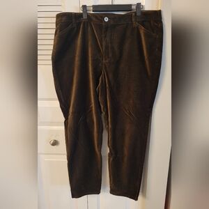 J. Jill Deep Olive Straight Leg Pants